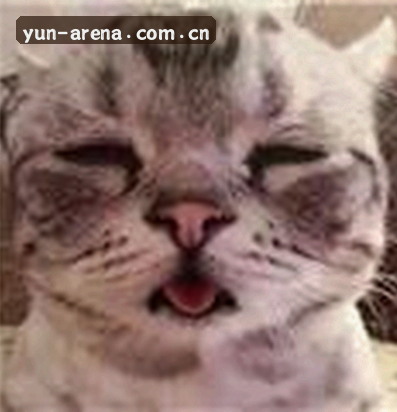 孙悦